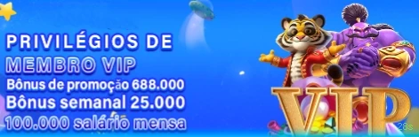 Sobre o 28s
